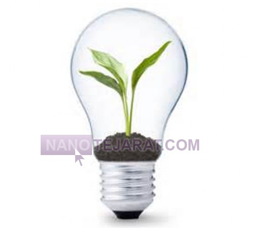 interpreneurship